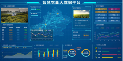 智慧農(nóng)業(yè)灌溉平臺
